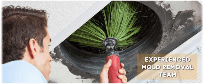 Air Duct Mold Removal in Lowell MA